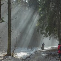 в утреннем лесу :: Александр Есликов