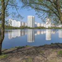 На берегу городского  пруда :: Валерий Иванович