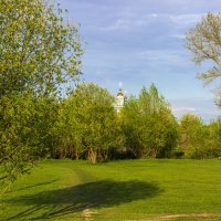 Сочная зелень приятно услаждает взор :: оксана 