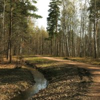 Дорога в парке :: Танзиля Завьялова