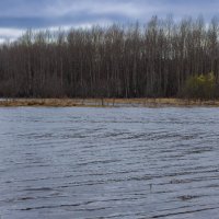 Full-flowing Bolshoy Puchkas river on a cloudy spring day :: Sergey Sonvar