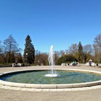 Весна в парке Кадриорг :: veera v