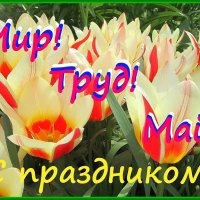 С праздником весны! :: Ольга Довженко