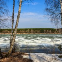 Весной на берегу озера :: Сергей Борисович 