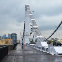 Москва. Крымский мост. :: Наташа *****