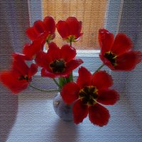 Царские тюльпаны :: Евгений 