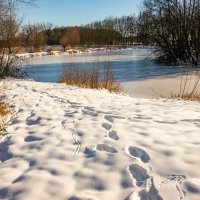 По следам... :: Николай Гирш