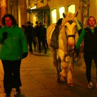 Прогулка на лошадях по Питеру :: Танзиля Завьялова