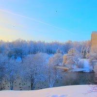 пруд  в  парке  зимой :: Владимир иванов
