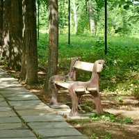 Интересная скамья в парке :: Raduzka (Надежда Веркина)