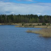 Small quarry near the forest in May | 6 :: Sergey Sonvar