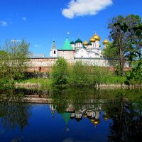 Вид на Ипатьевский монастырь :: Лидия 