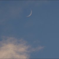 Серп Луны и „полумесяц" Венеры :: Сеня Белгородский