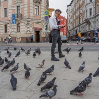 Птицы в Городе :: юрий поляков