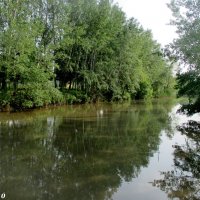 Река Темерник в экопарке :: Нина Бутко