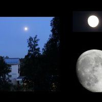 луна из моего окна :: михаил Архангел