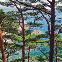 Красивая фотография с морем и деревьями :: Юлия Трушина