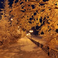 Зима в городе :: Anna Ivanova