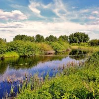 Озеро Семигино, Воронежская область. :: Восковых Анна Васильевна 