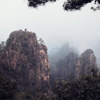 Туман в горах Хуаншань, Китай :: Дмитрий 