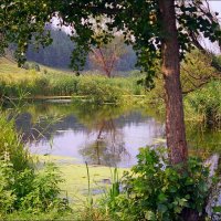 река Корень :: Сеня Белгородский