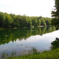 Озеро в  лесопарке "Щёлоковский хутор" :: Наиля 