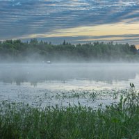 June morning near the Sukhona River | 6 :: Sergey Sonvar