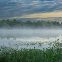 June morning near the Sukhona River | 8 :: Sergey Sonvar
