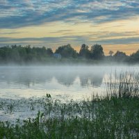 June morning near the Sukhona River | 9 :: Sergey Sonvar