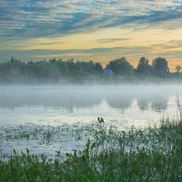 June morning near the Sukhona River | 14 :: Sergey Sonvar