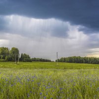 Перед дождем :: Галина Новинская