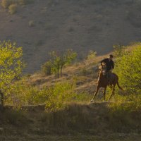 В закатном свете :: Олег Денисов