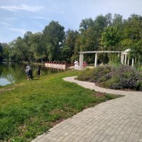 Летом на озере Пионер :: Елена Семигина