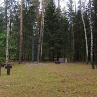 Мемориальное кладбище военнопленных около посёлка Мишеронский. :: Люба 
