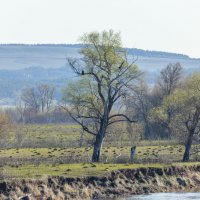 путешествие по рекам волга,кама, вятка,белая :: юрий макаров