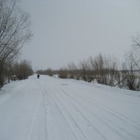 Снегопад :: Anna Ivanova