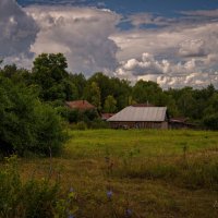 "Лето на краю деревни"© :: Владимир Макаров