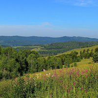 Забайкальский пейзаж. :: Николай Жуков