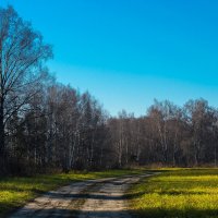 Осеннее солнце. :: Андрей Андрианов