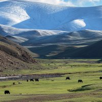 Монголия.Горы, долины и яки :: Galina 