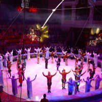 Артисты цирка на арене :: Танзиля Завьялова