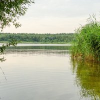 Озеро :: Andrej Guz