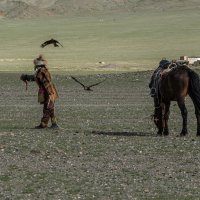 Монголия, охота с беркутом :: Galina 