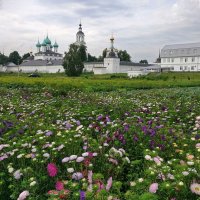 Цветочное поле, православный монастырь :: Николай Белавин