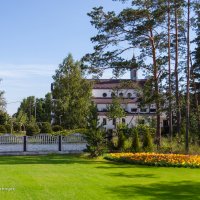 Лужайка возле леса :: Анатолий Клепешнёв