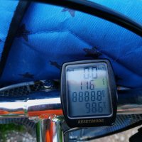 Есть 8 888,8 км за 2,5 сезона (за этот сезон ок. 2 200 км) :: Андрей Лукьянов