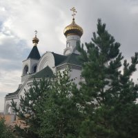Сосновый храм :: Андрей Хлопонин