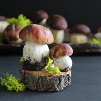 Вот и белые грибы пошли. :: Нина Сироткина 