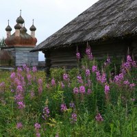 Село Шелоховское ! :: Николай Кондаков