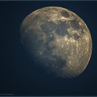Луна... :: Андрей Пристяжнюк